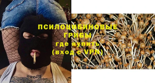 дурь Балахна