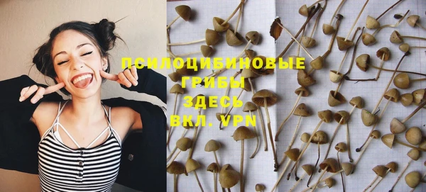 дурь Балахна