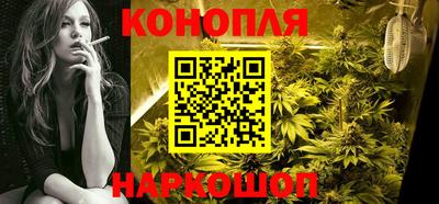 стаф Можга