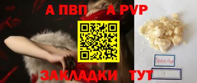 стаф Можга