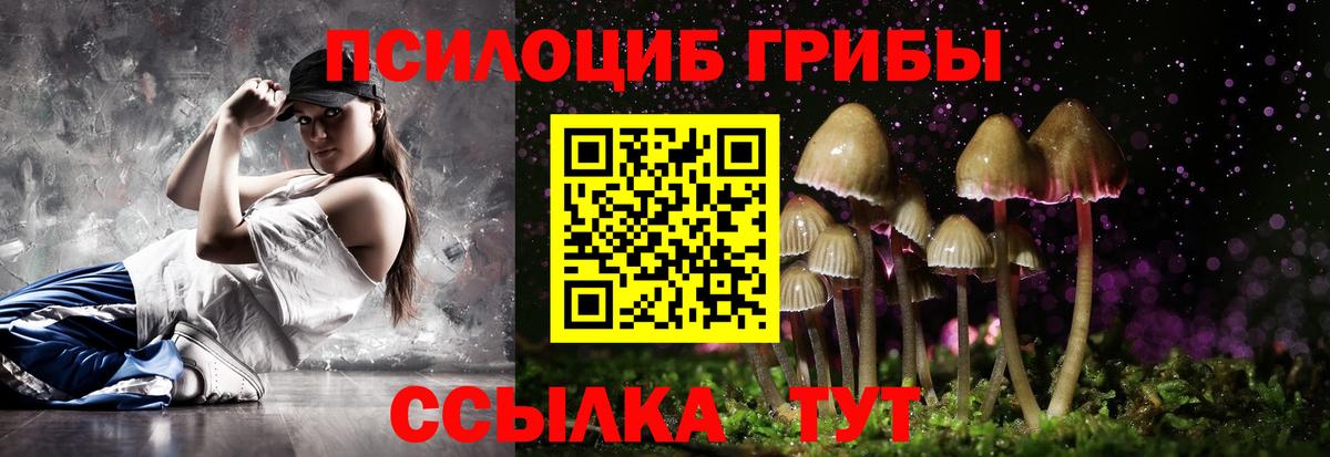 Псилоцибиновые грибы GOLDEN TEACHER Заречный